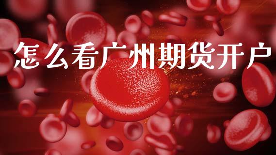 怎么看广州期货开户_https://wap.letulww.com_投资策略_第1张