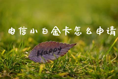 电信小白金卡怎么申请_https://wap.letulww.com_投资策略_第1张