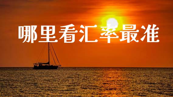 哪里看汇率最准_https://wap.letulww.com_投资策略_第1张