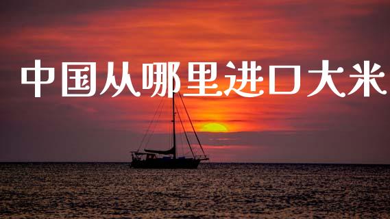 中国从哪里进口大米_https://wap.letulww.com_投资管理_第1张