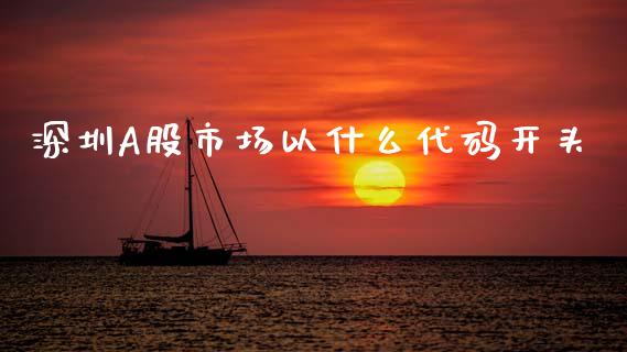 深圳A股市场以什么代码开头_https://wap.letulww.com_投资策略_第1张