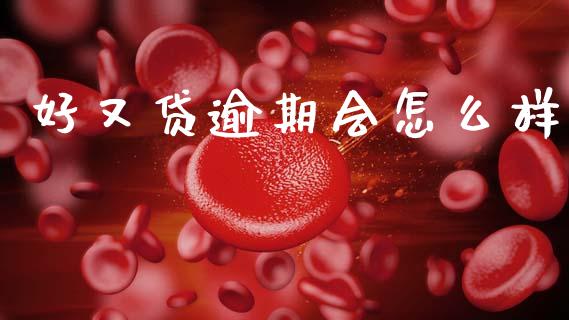 好又贷逾期会怎么样_https://wap.letulww.com_投资策略_第1张