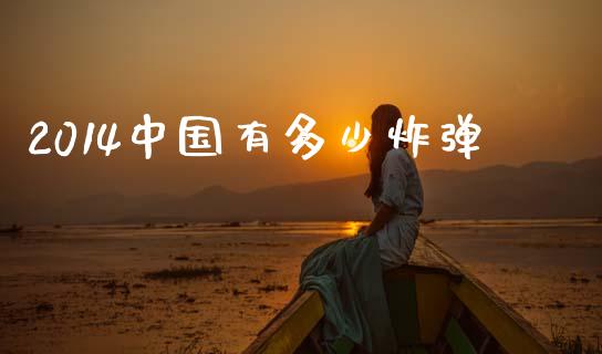 2014中国有多少炸弹_https://wap.letulww.com_投资策略_第1张