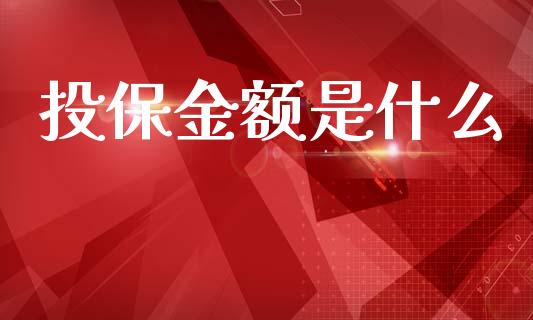 投保金额是什么_投资管理_第1张_外汇交易_投资策略_融资租赁_投资管理 投保金额是什么_https://wap.letulww.com_投资管理_第1张