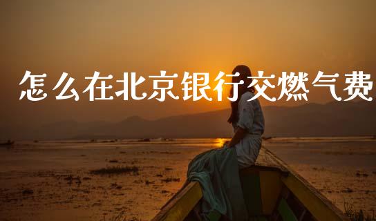 怎么在北京银行交燃气费_https://wap.letulww.com_投资策略_第1张