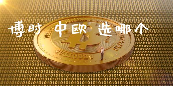 博时 中欧 选哪个_https://wap.letulww.com_融资租赁_第1张