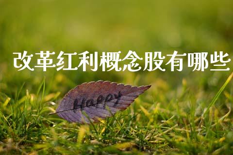 改革红利概念股有哪些_https://wap.letulww.com_投资管理_第1张