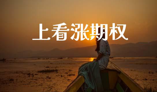 上看涨期权_https://wap.letulww.com_外汇交易_第1张