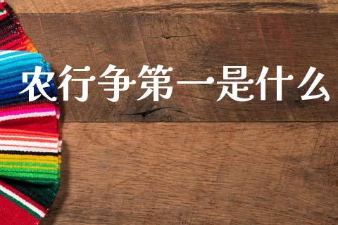 农行争第一是什么_https://wap.letulww.com_投资策略_第1张