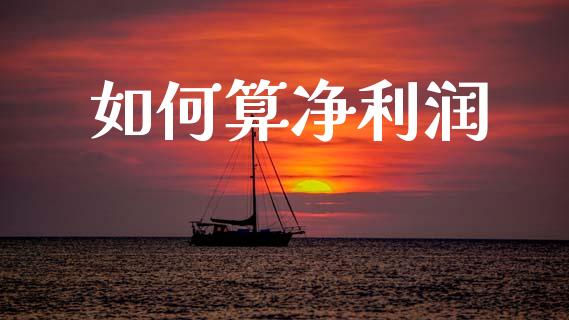 如何算净利润_https://wap.letulww.com_投资策略_第1张