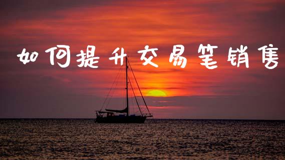 如何提升交易笔销售_https://wap.letulww.com_融资租赁_第1张