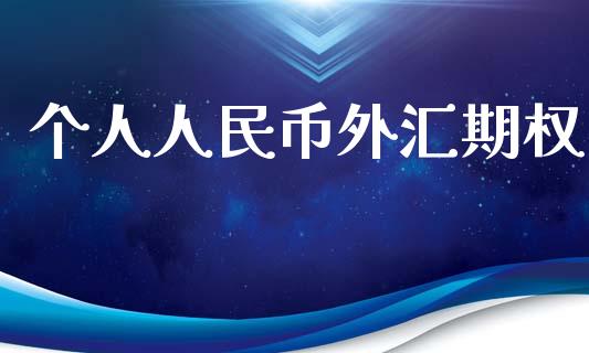 个人人民币外汇期权_https://wap.letulww.com_投资策略_第1张