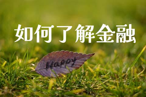 如何了解金融_https://wap.letulww.com_投资策略_第1张