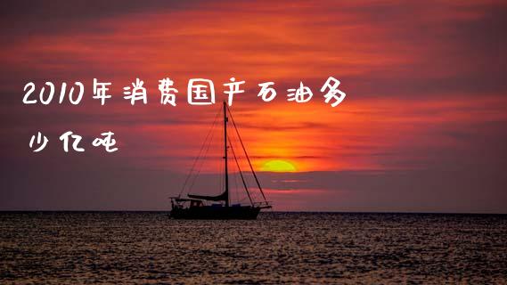 2010年消费国产石油多少亿吨_https://wap.letulww.com_融资租赁_第1张