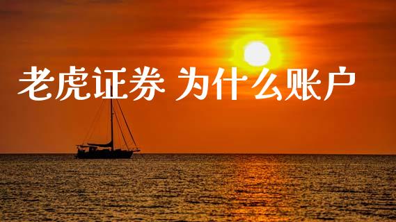 老虎证券 为什么账户_https://wap.letulww.com_投资管理_第1张