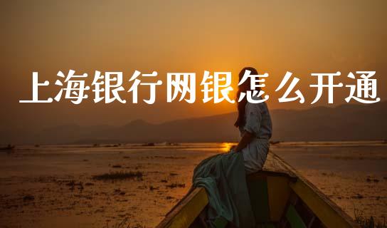 上海银行网银怎么开通_https://wap.letulww.com_外汇交易_第1张
