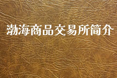 渤海商品交易所简介_https://wap.letulww.com_投资策略_第1张