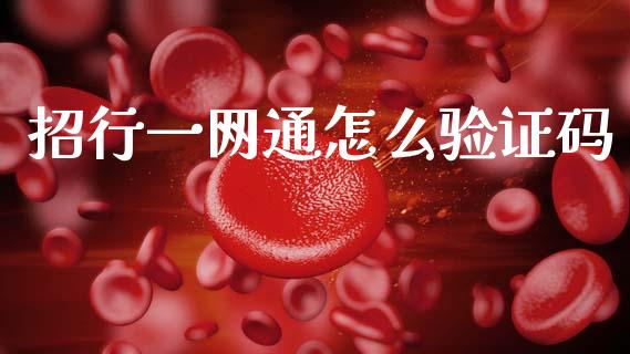 招行一网通怎么验证码_https://wap.letulww.com_融资租赁_第1张