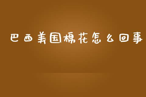 巴西美国棉花怎么回事_https://wap.letulww.com_投资管理_第1张