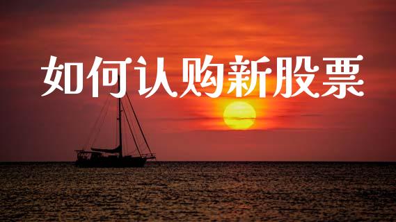 如何认购新股票_https://wap.letulww.com_投资管理_第1张