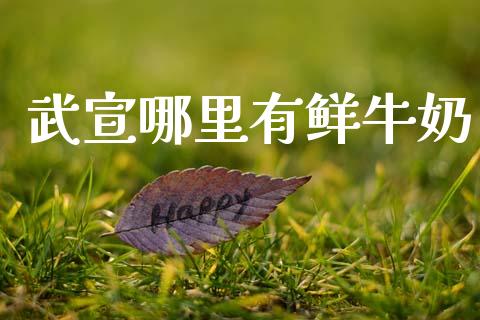 武宣哪里有鲜牛奶_https://wap.letulww.com_融资租赁_第1张