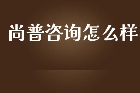 尚普咨询怎么样_https://wap.letulww.com_投资管理_第1张