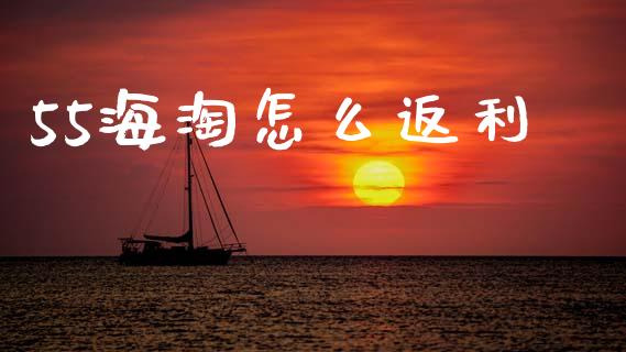 55海淘怎么返利_https://wap.letulww.com_融资租赁_第1张