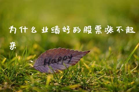 为什么业绩好的股票涨不起来_https://wap.letulww.com_外汇交易_第1张
