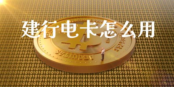建行电卡怎么用_https://wap.letulww.com_外汇交易_第1张