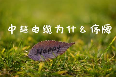 中超电缆为什么停牌_https://wap.letulww.com_融资租赁_第1张