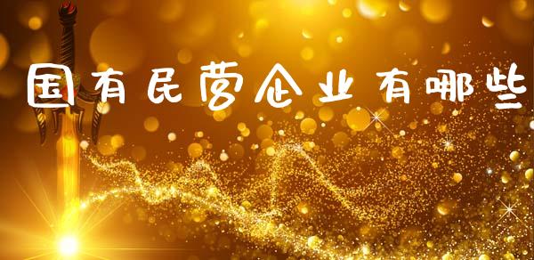 国有民营企业有哪些_https://wap.letulww.com_投资管理_第1张