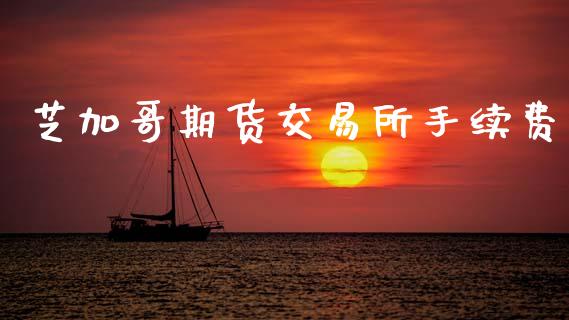 芝加哥期货交易所手续费_https://wap.letulww.com_投资管理_第1张
