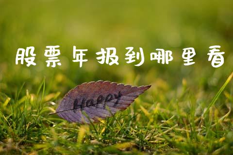 股票年报到哪里看_https://wap.letulww.com_融资租赁_第1张