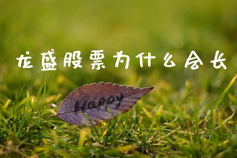 龙盛股票为什么会长_https://wap.letulww.com_投资管理_第1张