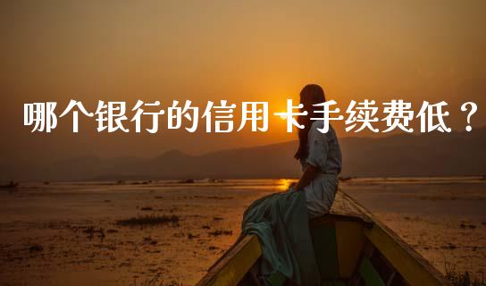 哪个银行的信用卡手续费低？_https://wap.letulww.com_外汇交易_第1张