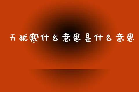 天犹寒什么意思是什么意思_https://wap.letulww.com_融资租赁_第1张