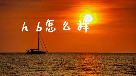 h b怎么样_https://wap.letulww.com_融资租赁_第1张