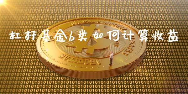 杠杆基金b类如何计算收益_https://wap.letulww.com_融资租赁_第1张