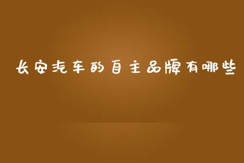 长安汽车的自主品牌有哪些_https://wap.letulww.com_投资策略_第1张