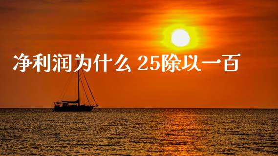 净利润为什么 25除以一百_https://wap.letulww.com_融资租赁_第1张