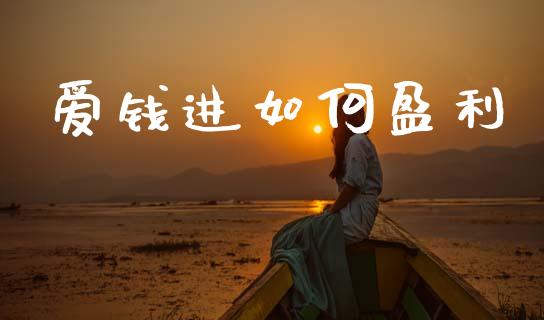 爱钱进如何盈利_https://wap.letulww.com_外汇交易_第1张
