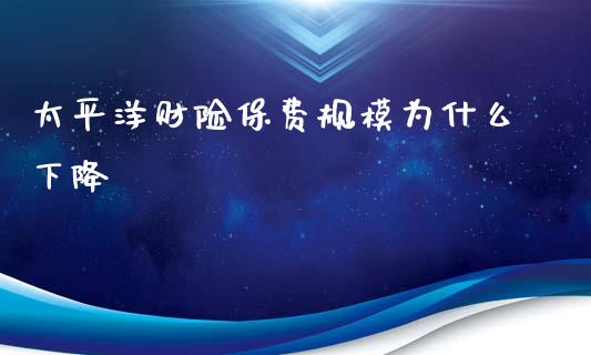 太平洋财险保费规模为什么下降_https://wap.letulww.com_融资租赁_第1张