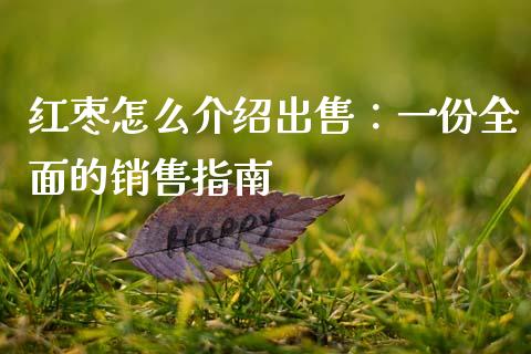红枣怎么介绍出售：一份全面的销售指南_https://wap.letulww.com_投资策略_第1张
