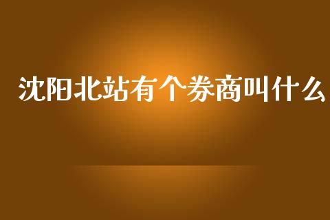 沈阳北站有个券商叫什么_https://wap.letulww.com_投资策略_第1张
