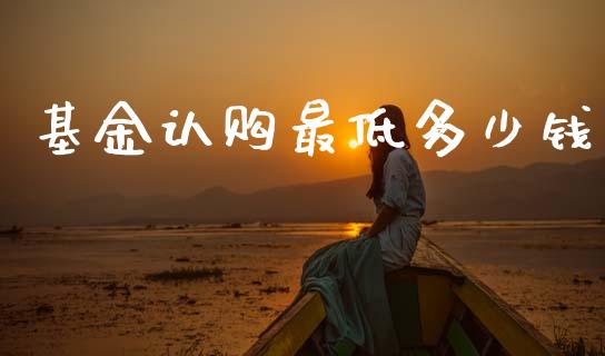 基金认购最低多少钱_https://wap.letulww.com_投资策略_第1张