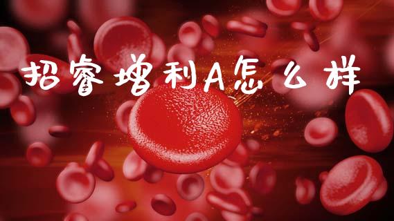 招睿增利A怎么样_https://wap.letulww.com_投资管理_第1张