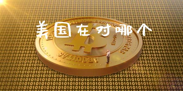 美国在对哪个_https://wap.letulww.com_外汇交易_第1张
