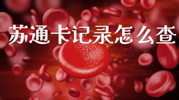 苏通卡记录怎么查_https://wap.letulww.com_投资策略_第1张