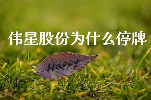伟星股份为什么停牌_https://wap.letulww.com_外汇交易_第1张