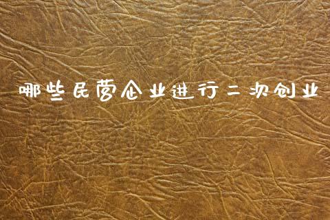 哪些民营企业进行二次创业_https://wap.letulww.com_投资策略_第1张